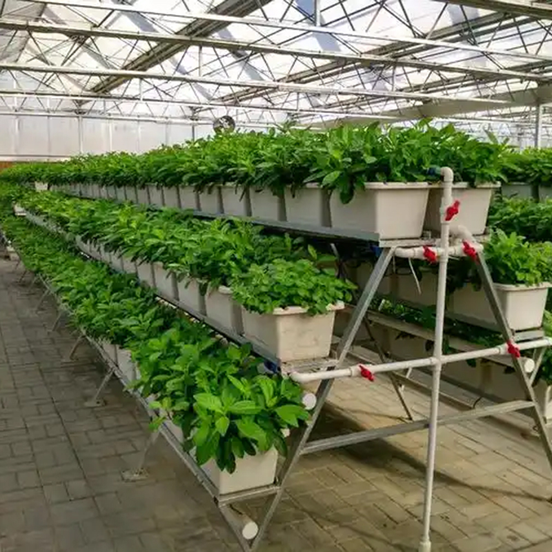 大同市植物工厂水培蔬菜 - 方案